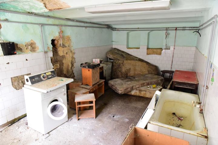 11722064_10204760959210751_1374835988260847628_o