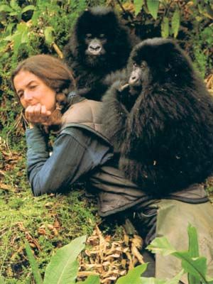 475557d723a103508c05f4b6dcdb94a9