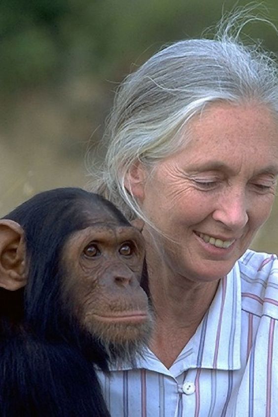 5f244aa61b40cb166d7a27abb3b85918