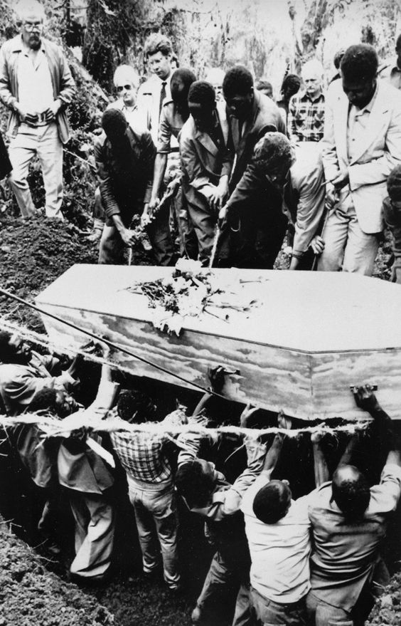 a8d8c0b1485169ba4d559d3d999e76f3