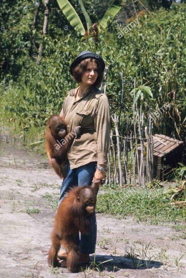 birute-galdikas-1965-M46M3Y